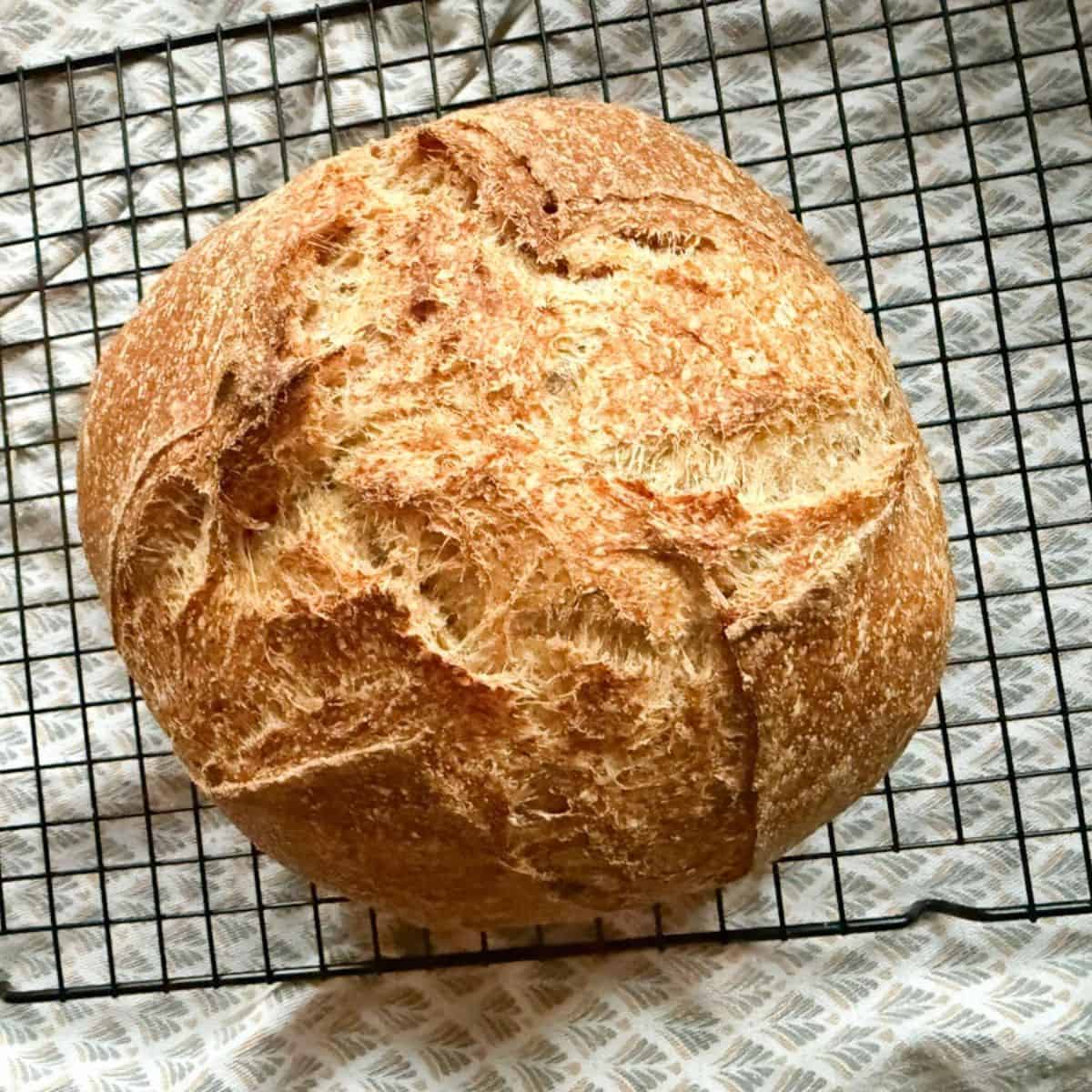Freshly baked bread with a rustic crust, perfect for healthy homemade recipes.