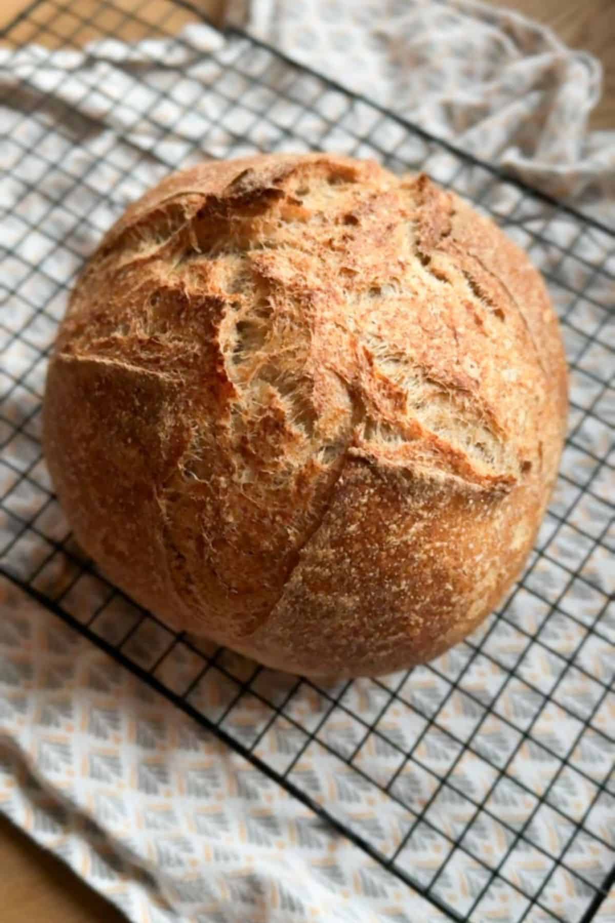Artisan sourdough bread with a crusty, golden exterior and chewy interior. Perfect for healthy baking at home.