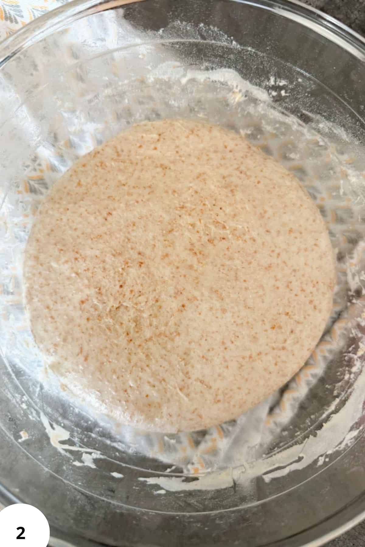 Delicious fresh milled grains fermenting, promoting healthy baking with whole grain nutrition.