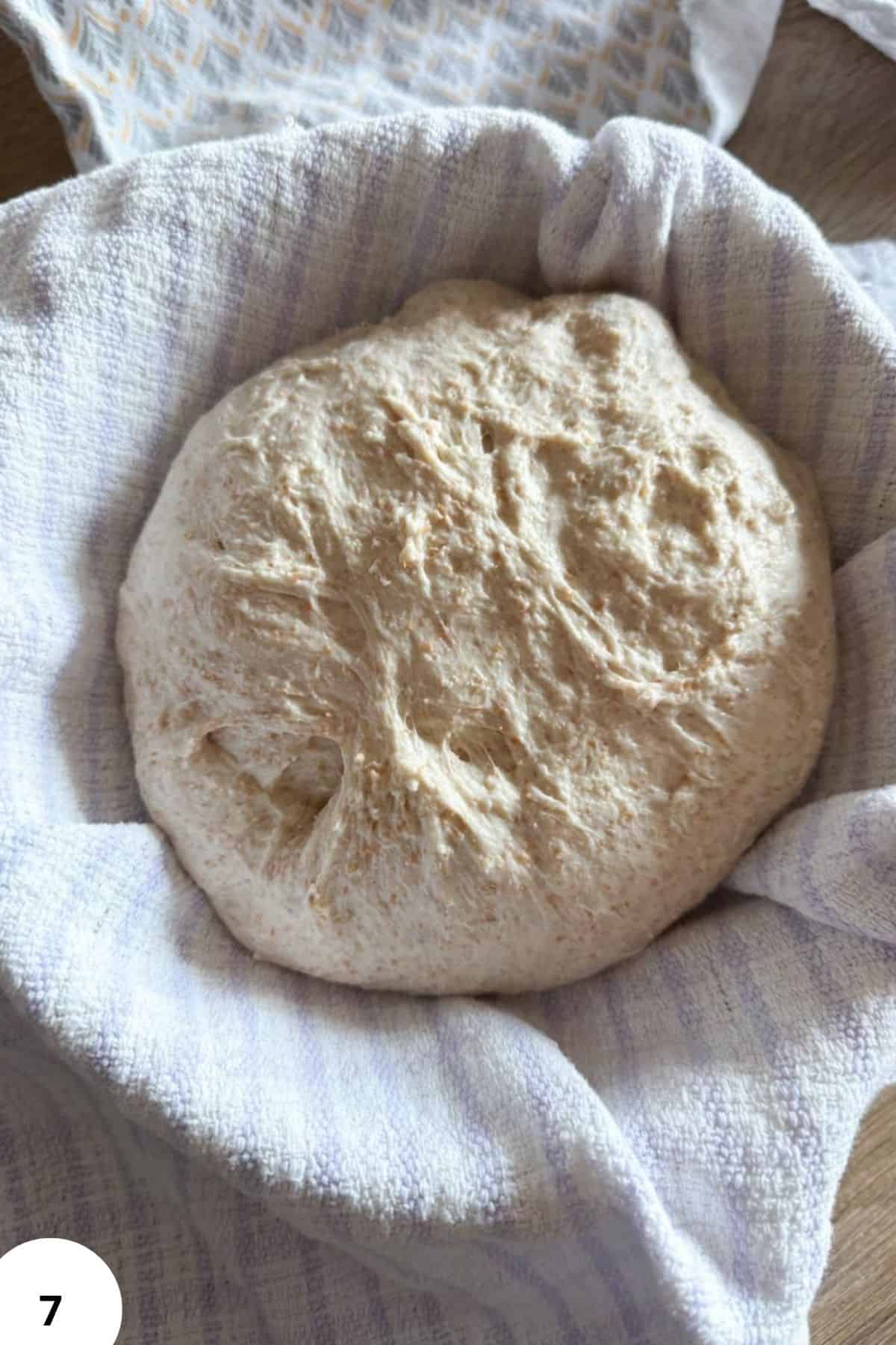 Homemade bread dough made with fresh milled grains, ready for proofing and baking.