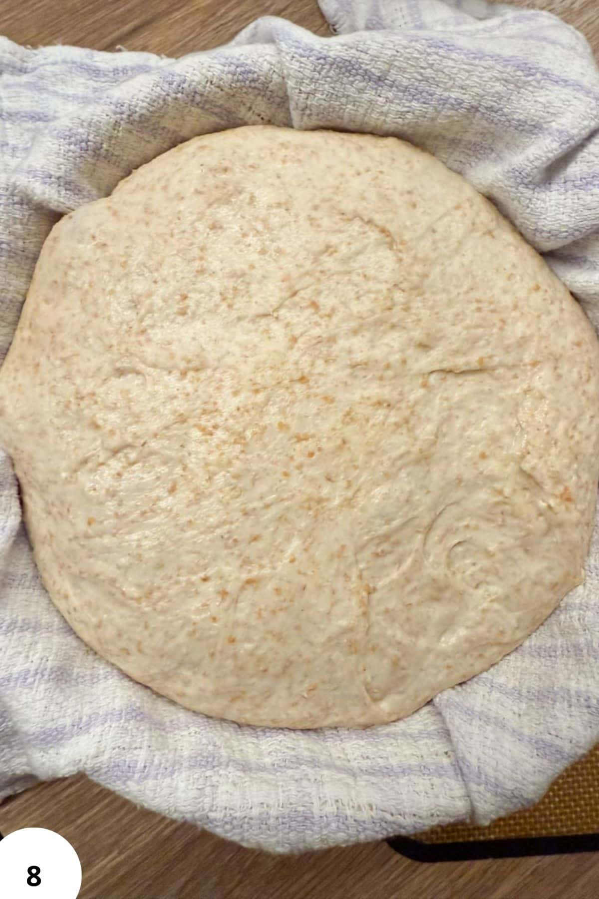 Freshly milled whole grain bread dough for healthy baking.