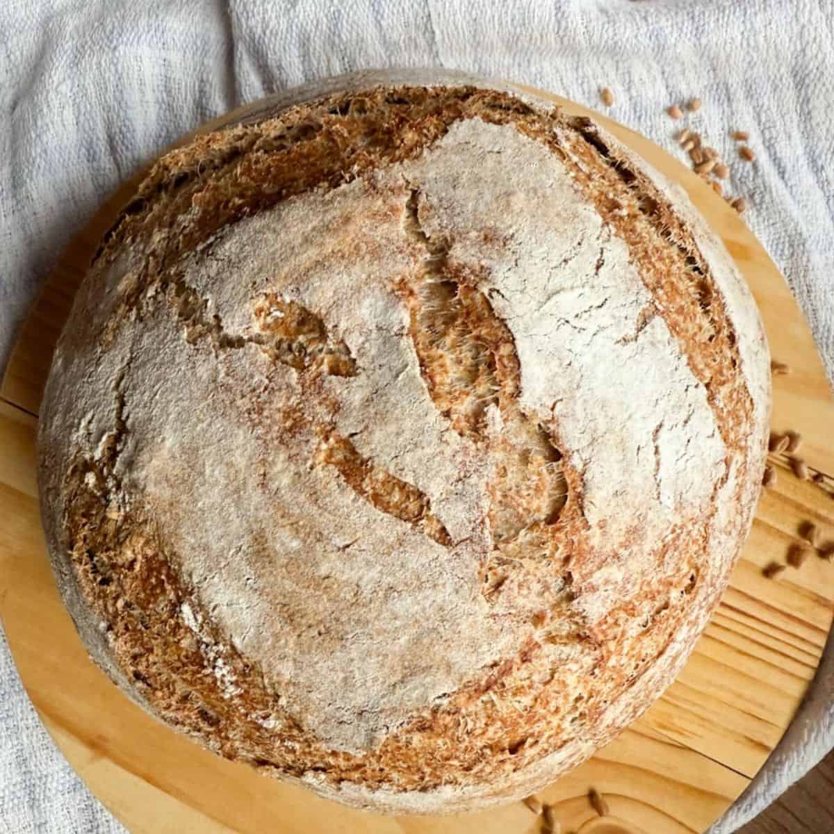 Leavened with natural sourdough starter, this crusty bread showcases fresh milled ingredients for wholesome baking.