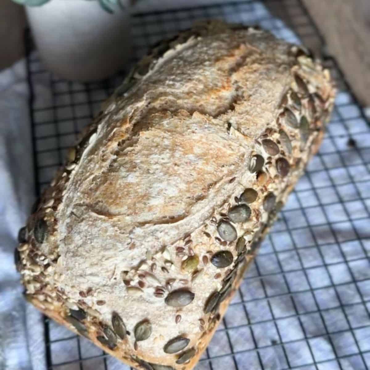 Homemade bread with fresh milled grains and seeds for wholesome baking. Perfect for healthy, artisanal bread lovers.