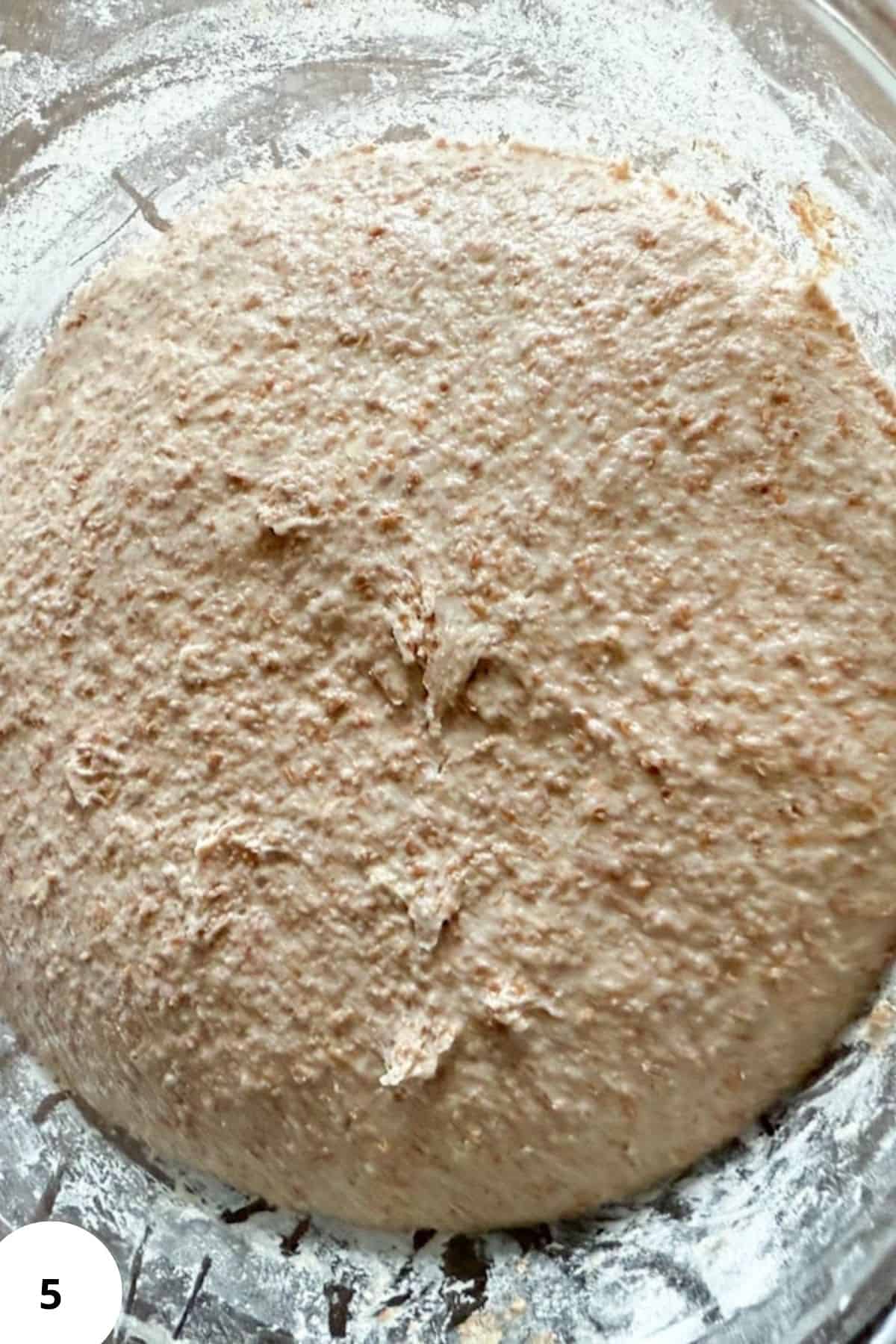 Freshly milled whole grain sourdough bread dough with a rustic appearance.