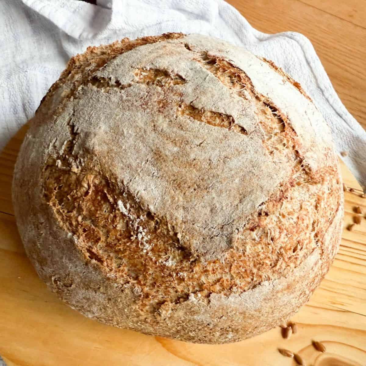 Freshly baked bread made with whole grains and freshly milled flour. Perfect for healthy baking.