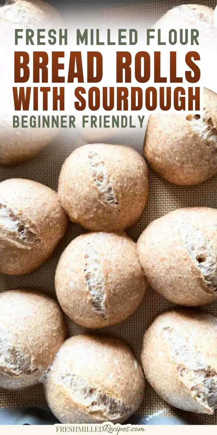 Freshly baked bread rolls with sourdough, made from fresh milled flour, perfect for beginner bakers.