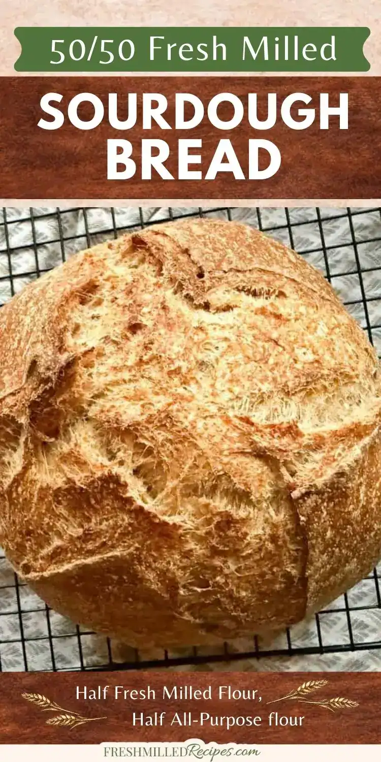 Freshly baked sourdough homemade bread with a crusty exterior and soft, airy interior. Perfect for artisanal bread lovers.