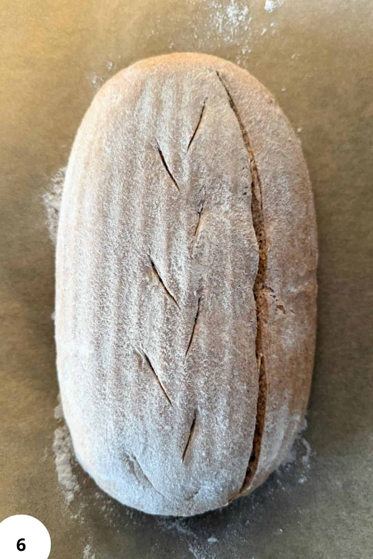 Close-up of freshly milled whole wheat flour bun with scratches, dusted with flour.