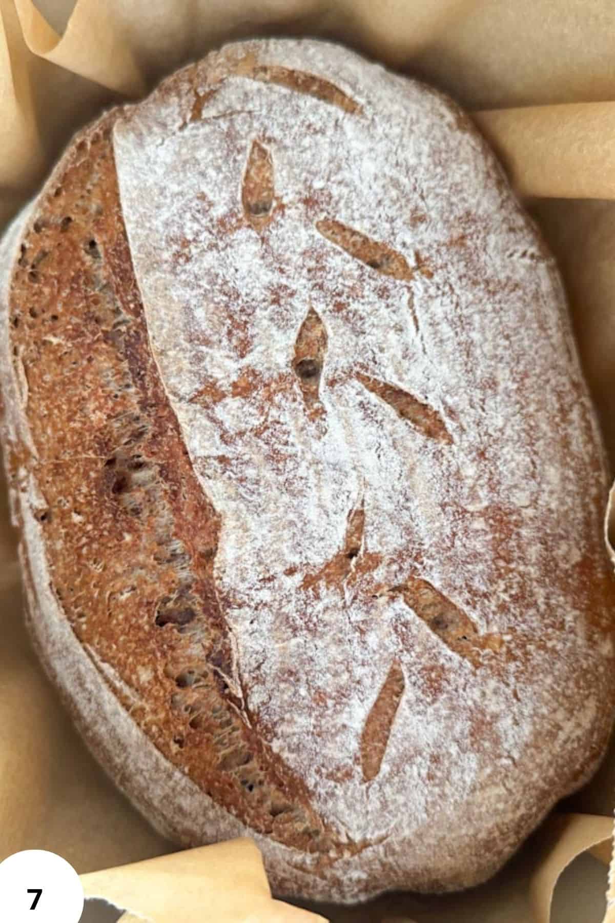 ALT text: Freshly baked rustic loaf with a dusting of flour and decorative scoring on the crust.