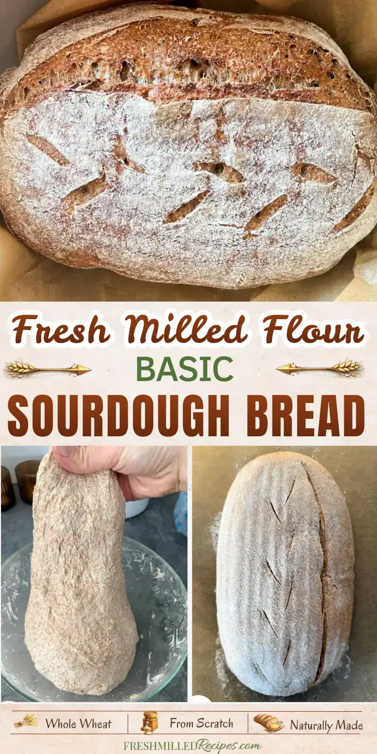 Fresh Milled Flour Sourdough Bread with rustic crust and natural texture. Perfect for homemade bread.