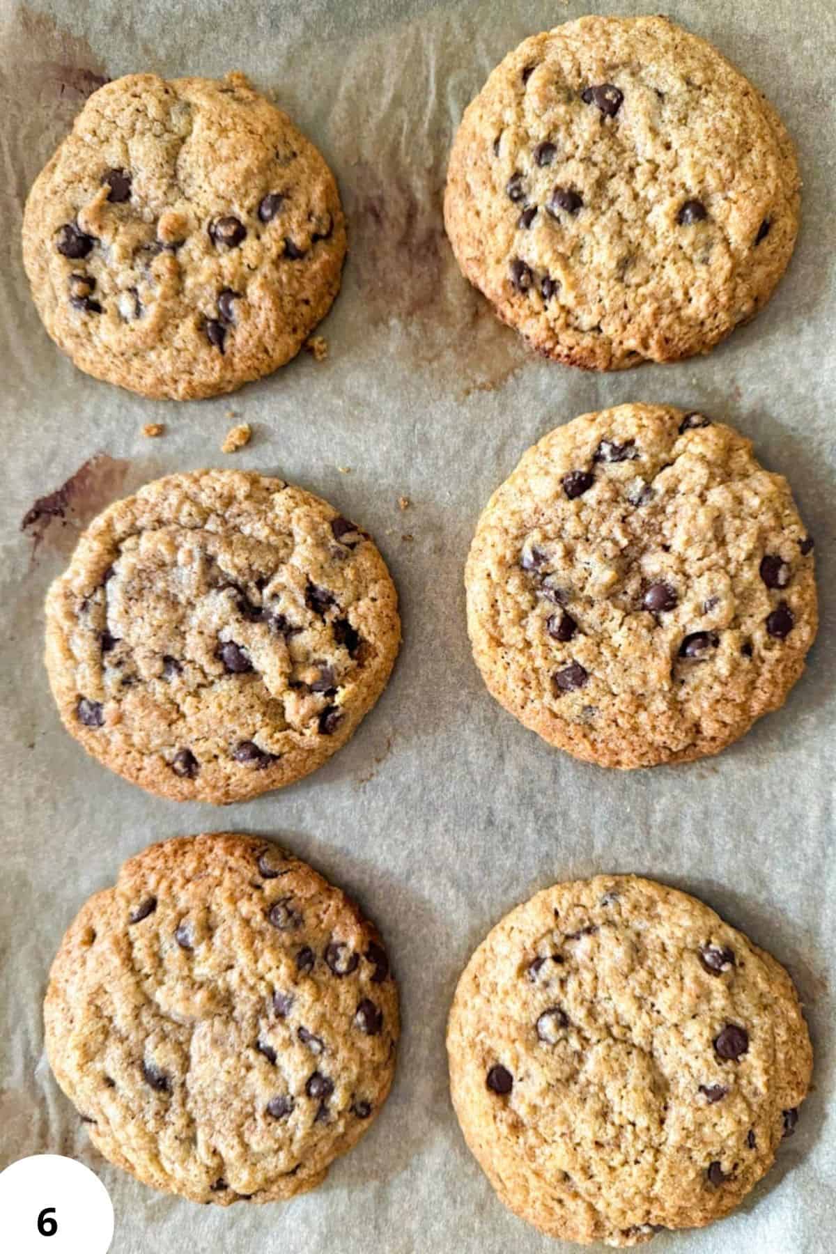 Freshly baked oatmeal chocolate chip cookies on parchment paper.