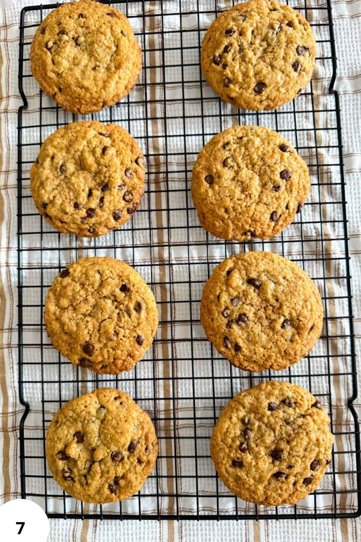 Delicious freshly baked chocolate chip cookies on a cooling rack. Perfect for baking enthusiasts and cookie lovers.