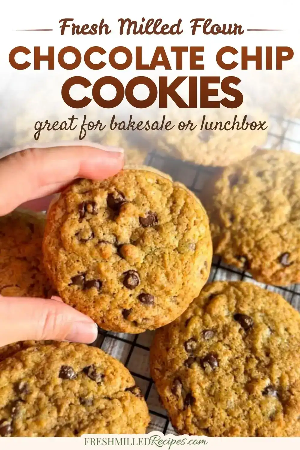 Chocolate Chip Cookies with Fresh Milled Flour, perfect for baking or lunchbox treats. Delicious, ho.