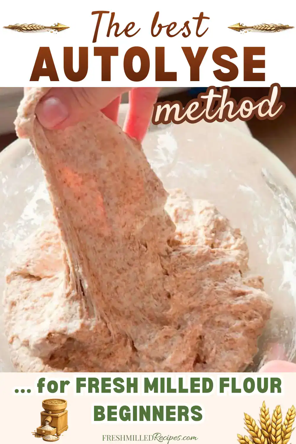 Autolyse method for fresh milled flour in bread baking.