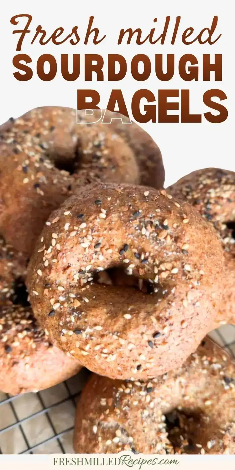 Artisan sourdough bagels with seeds and whole grains, perfect for breakfast or snacks.