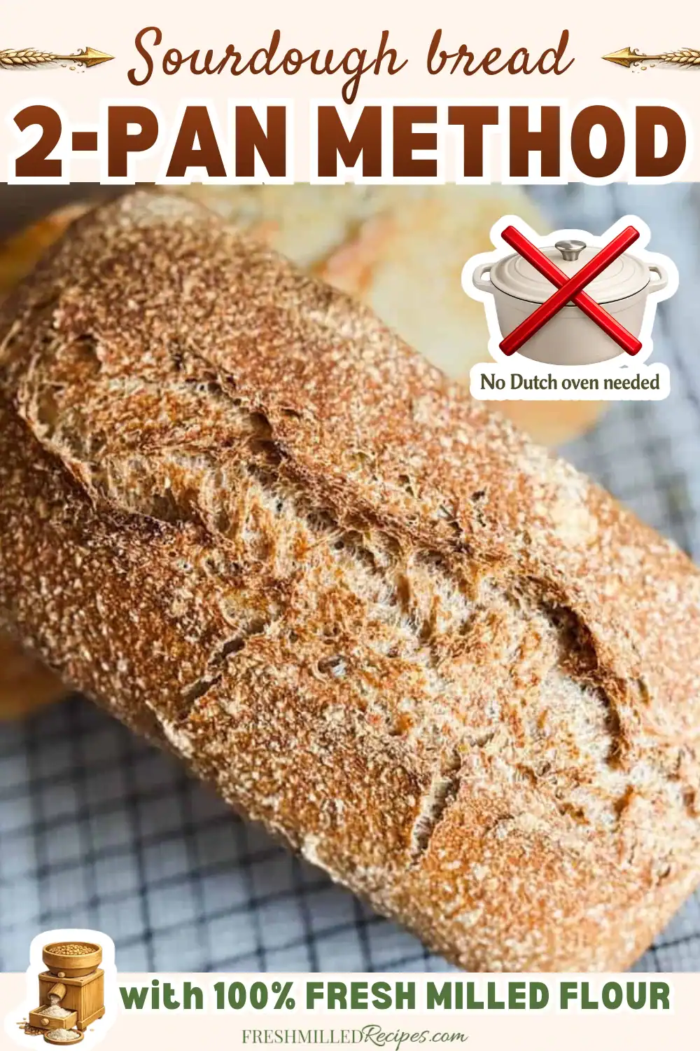 Freshly baked sourdough bread made with 100% fresh milled flour, using the two-pan method.