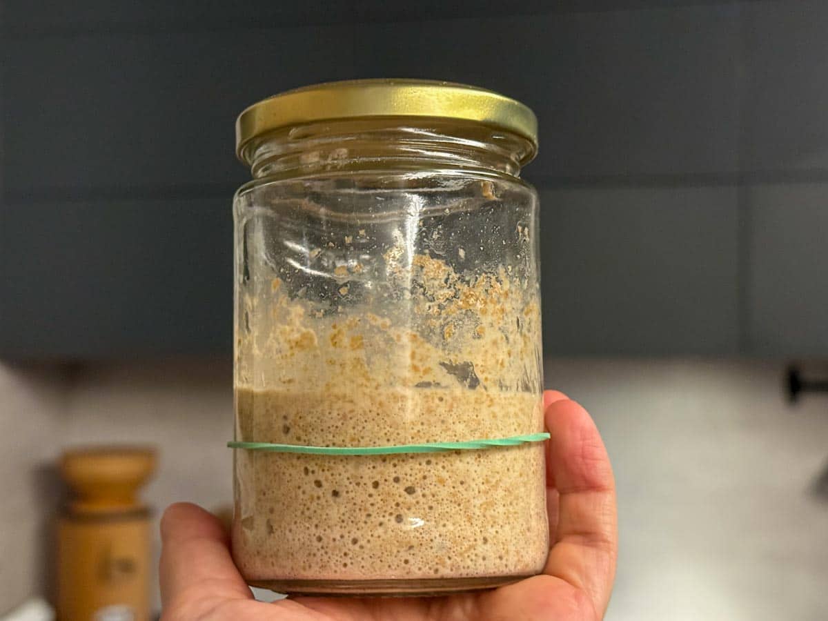 Sourdough starter in a glass jar with a golden lid, ready for baking.