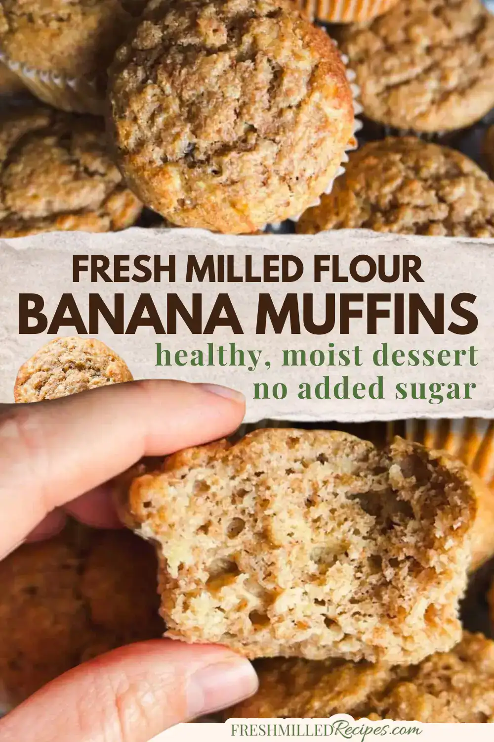 Healthy banana muffins made with fresh milled flour and applesauce, no added sugar.