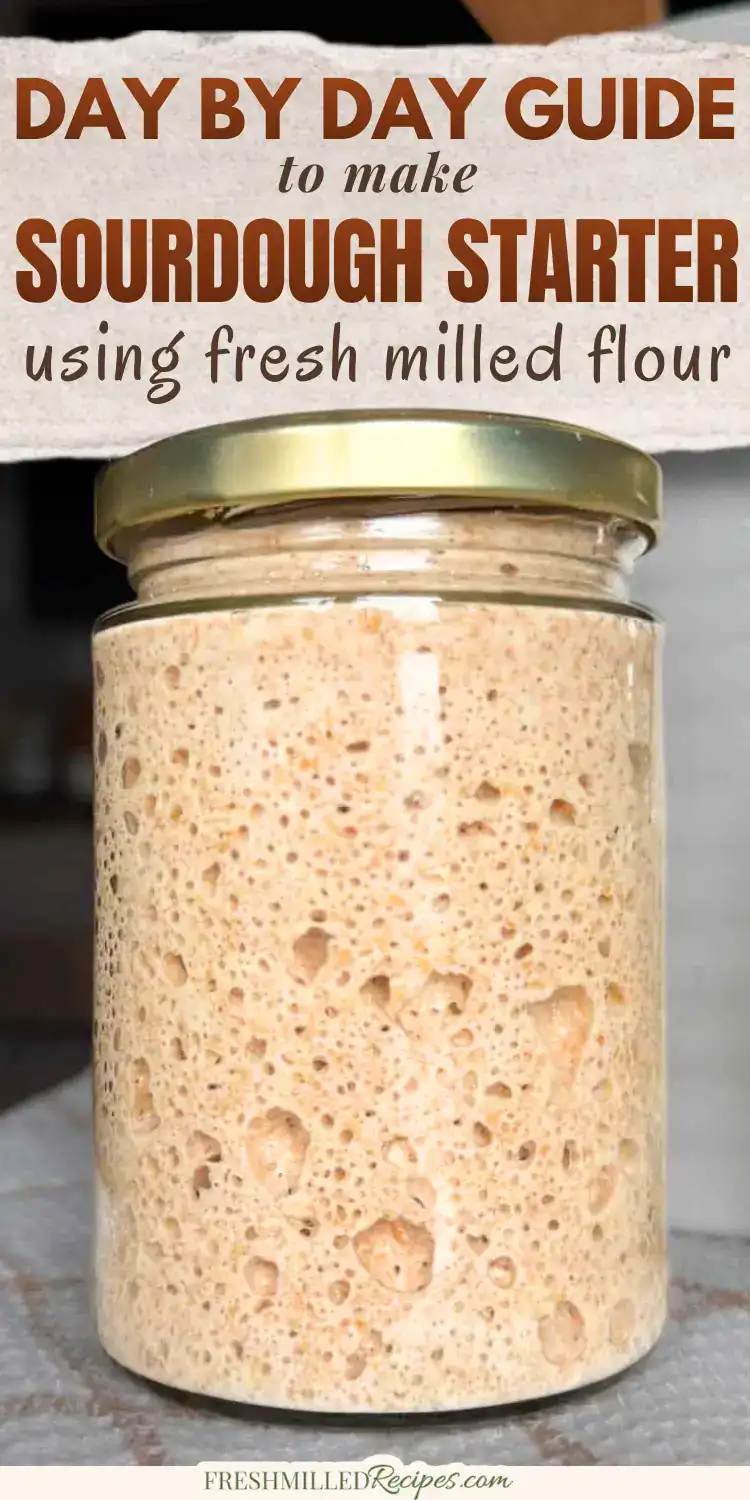 A glass jar filled with bubbly, active sourdough starter made from fresh milled flour, ready for baking bread from scratch.