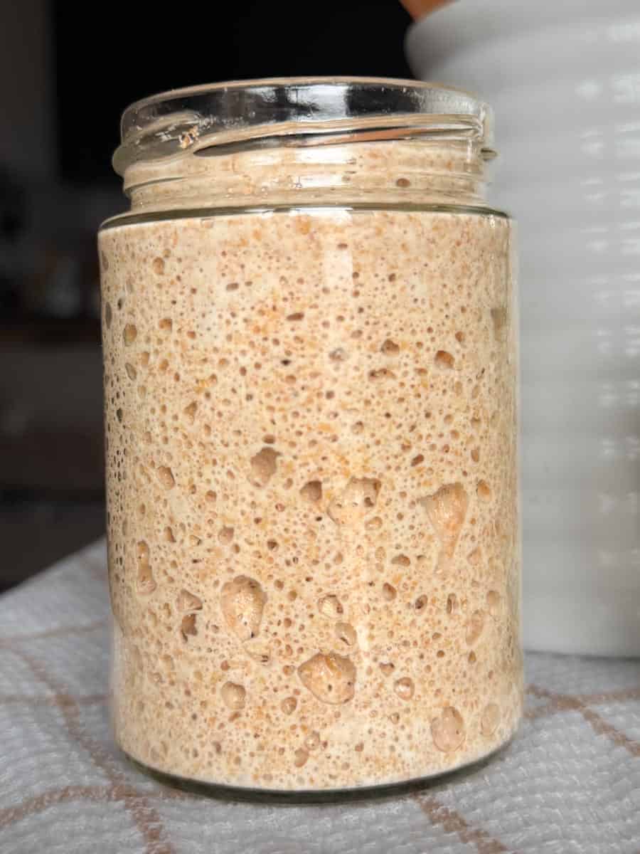 Sourdough starter made with fresh milled flour in a glass jar.