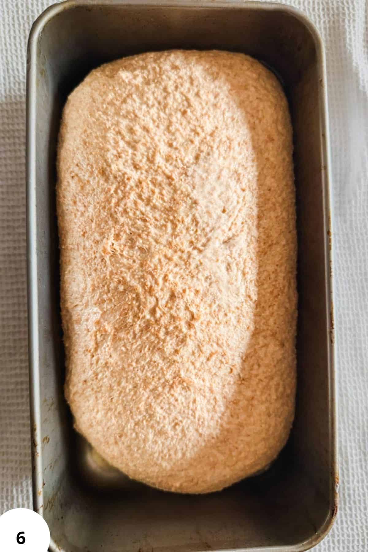 Sourdough bread made with fresh milled flour in a two-pan method. Perfect for homemade, crusty sourd.