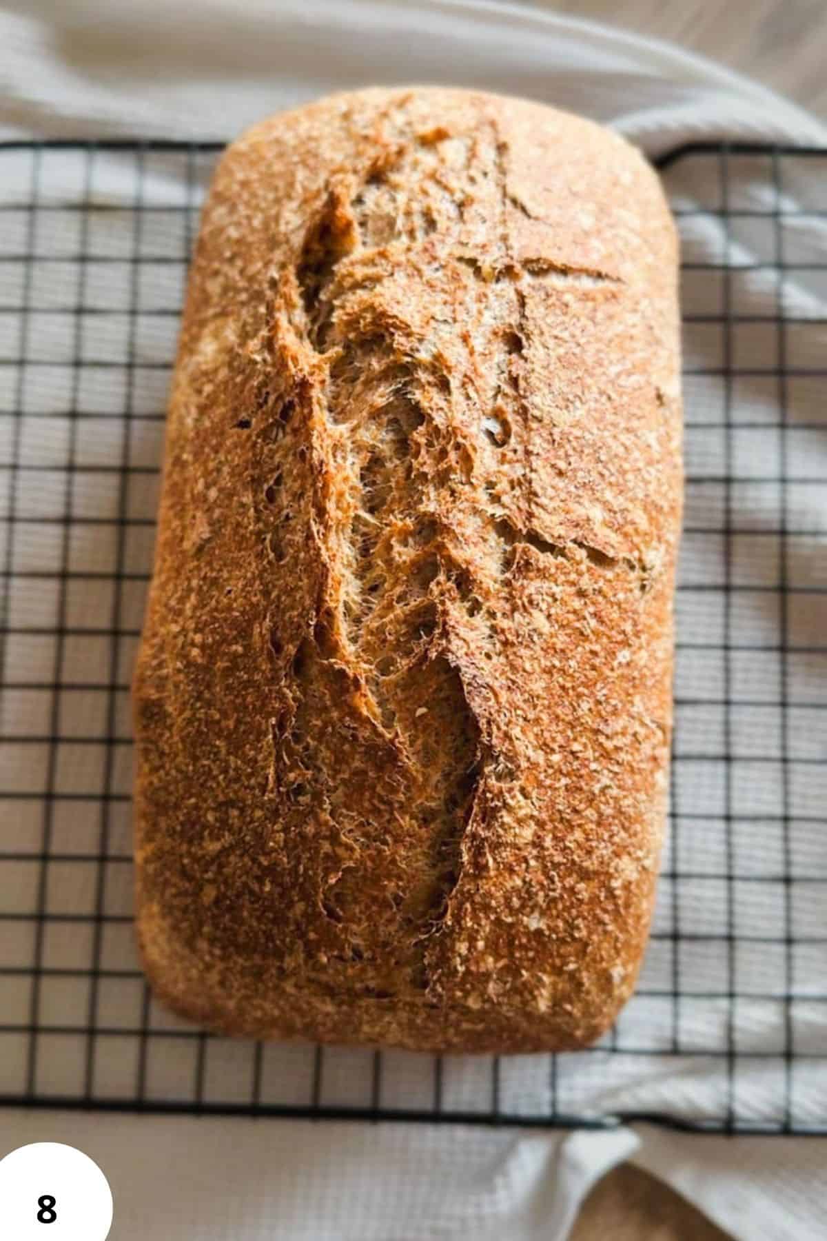Fresh Milled Sourdough loaf in a pan for two-pan method.