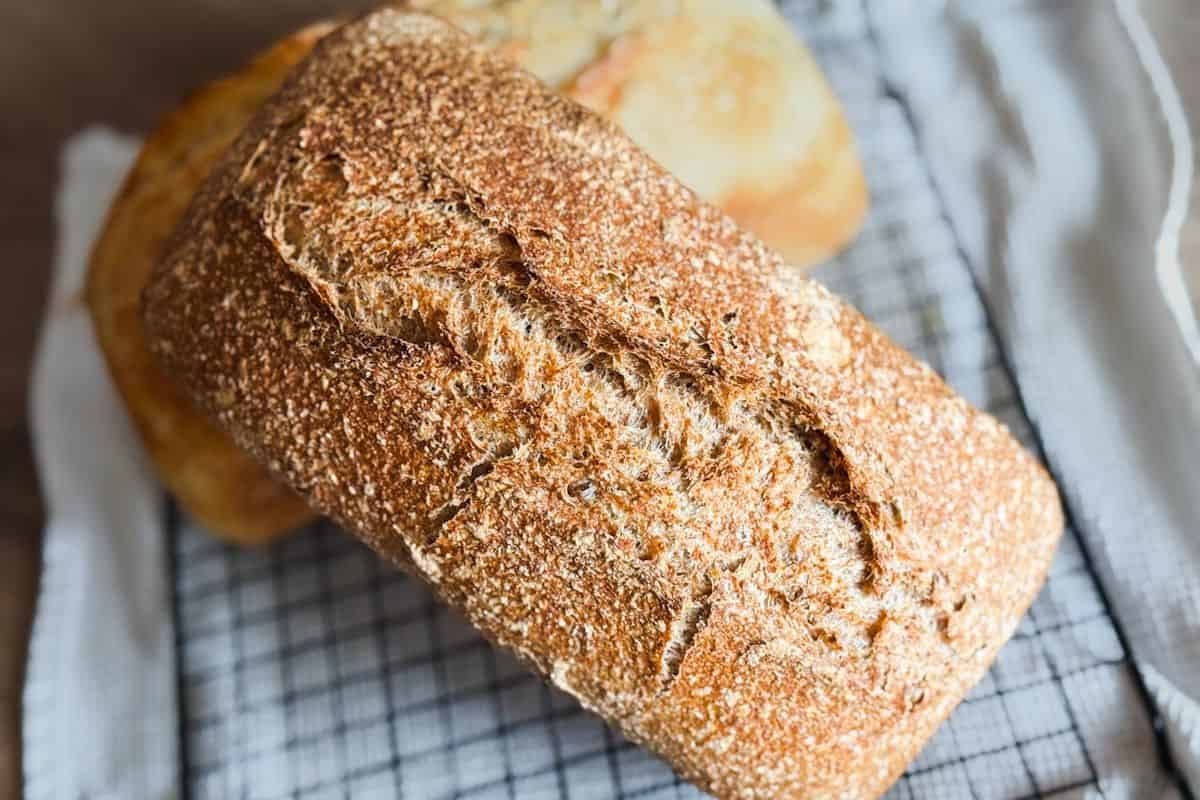 Freshly baked sourdough bread made with fresh milled flour in a loaf pan.