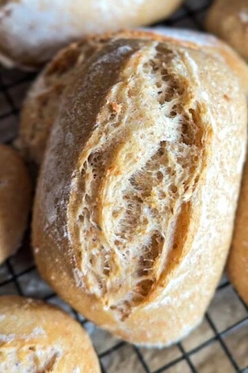 Bread Rolls with Freshly Milled Spelt (Sourdough Version).