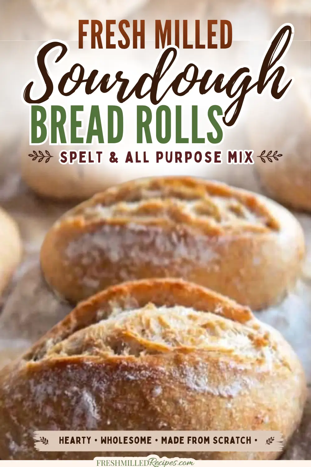 Delicious sourdough bread rolls made with freshly milled spelt flour, perfect for hearty meals and a.