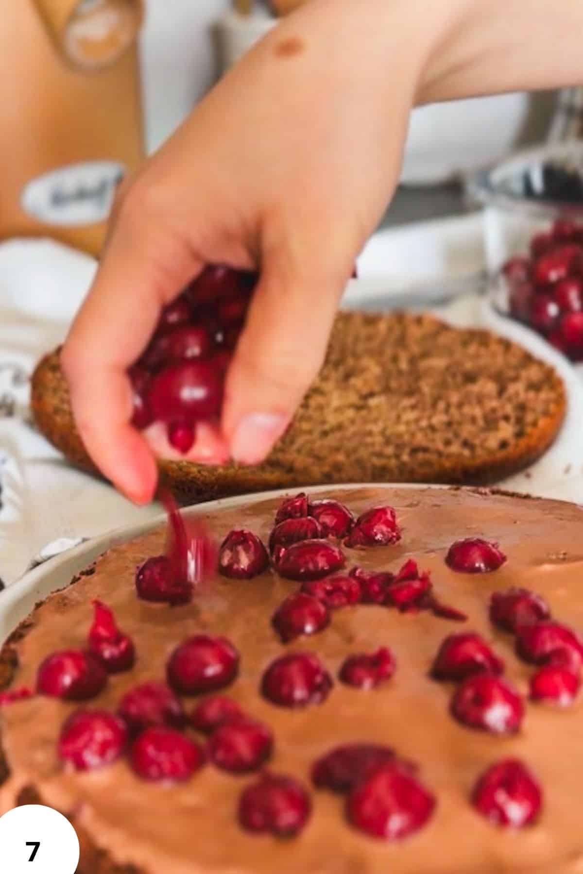 Hand adding fresh cherries to a chocolate cake with homemade flour crust.