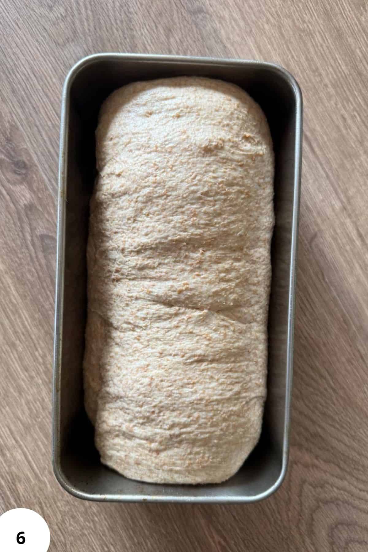 Fresh milled sourdough sandwich bread in a baking pan.