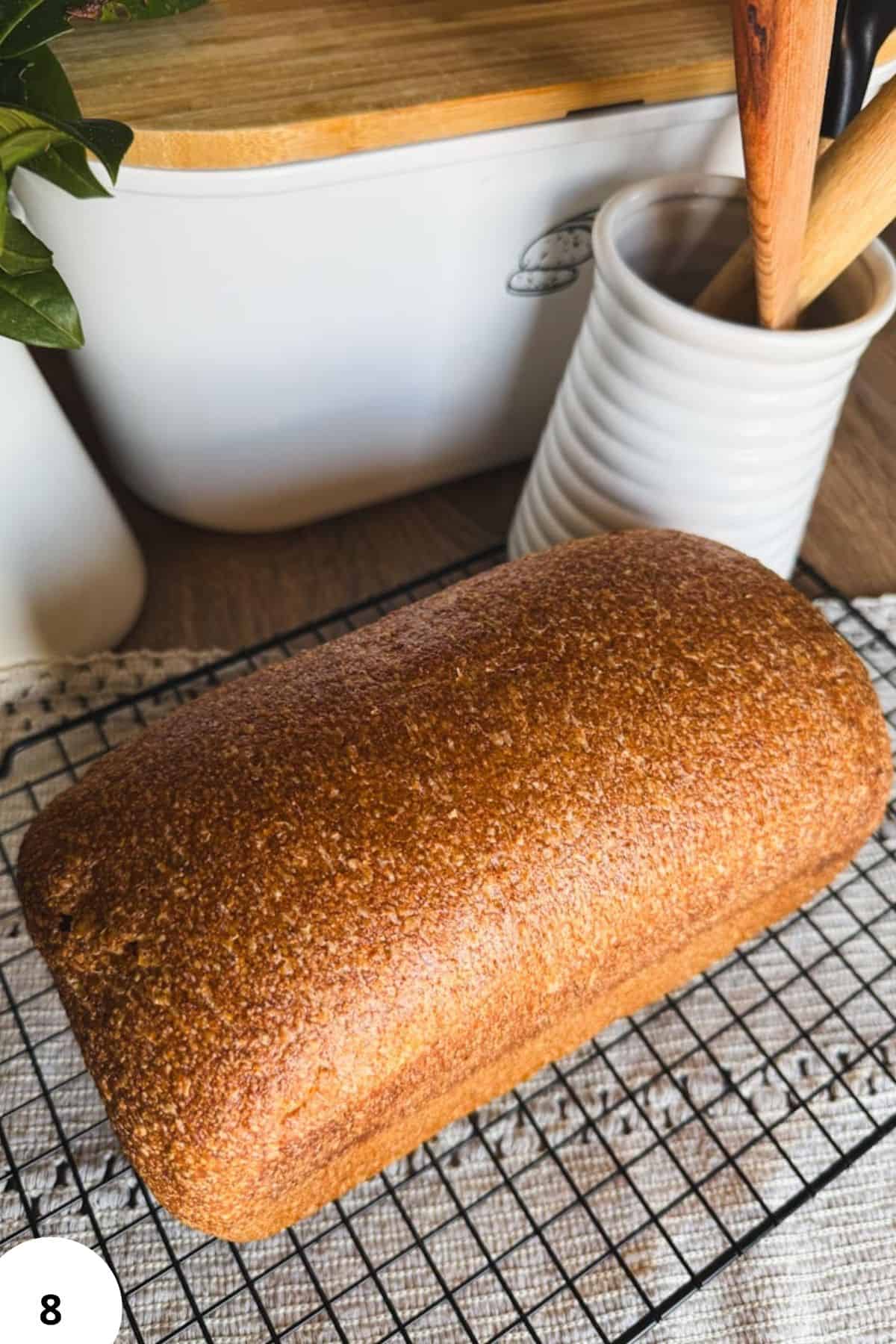 Fresh Milled Sourdough Sandwich Bread with a golden crust.