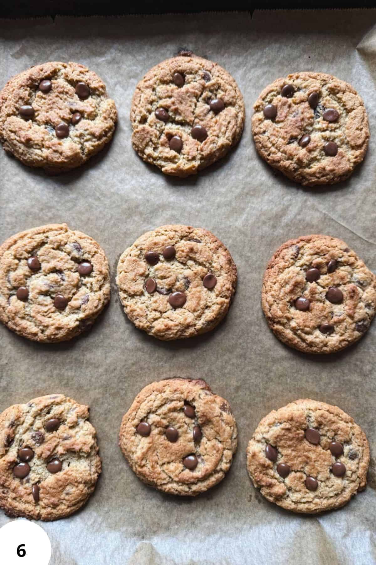 Delicious homemade peanut butter cookies with chocolate chips, freshly milled for rich flavor. Perfe.