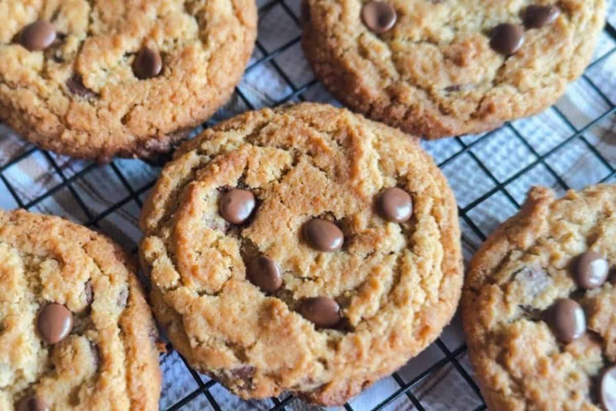 Peanut butter cookies with chocolate chips, made with fresh milled ingredients for rich flavor. Perf.