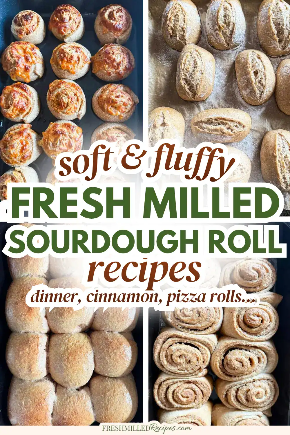 Freshly baked soft and fluffy sourdough rolls made with fresh milled flour.