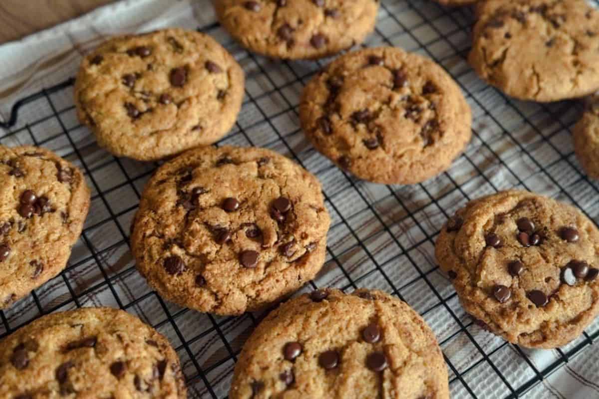 Freshly baked chocolate chip cookies on a cooling rack.