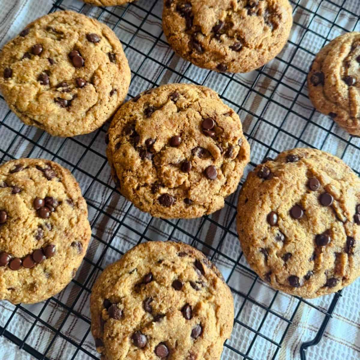 Freshly baked soft and chewy chocolate chip cookies on a cooling rack.