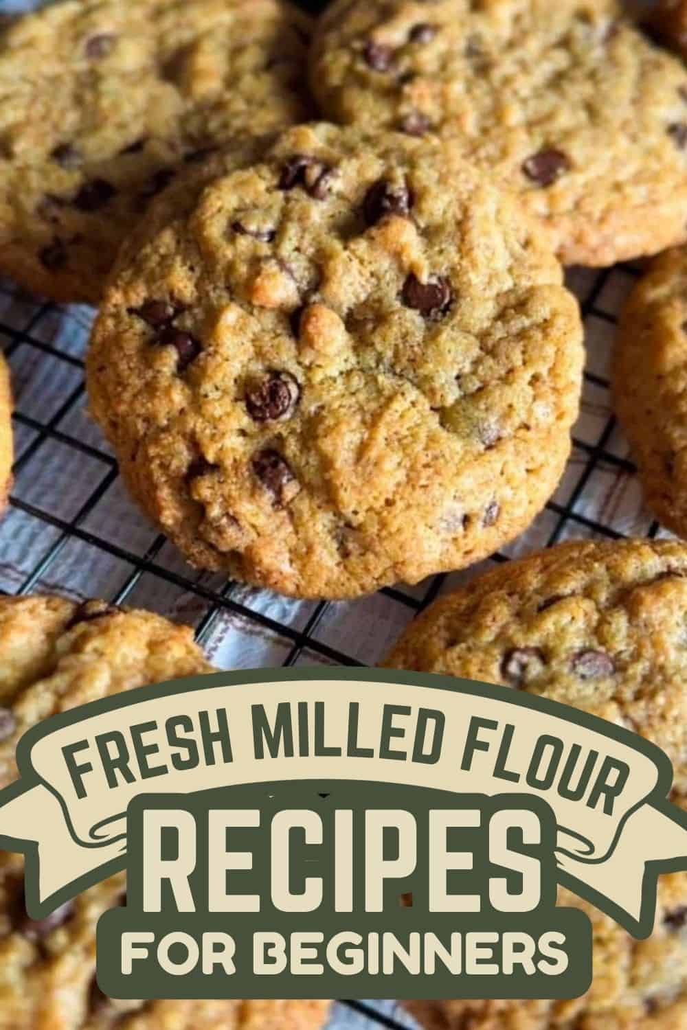 Close-up of homemade chocolate chip cookies on a cooling rack.