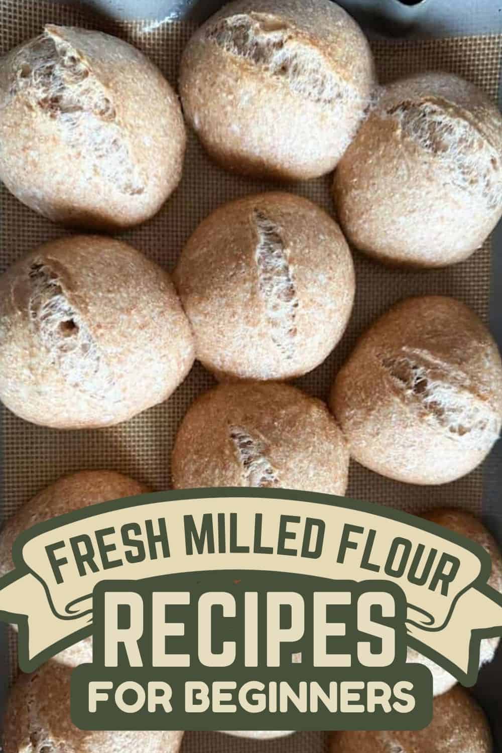 Freshly baked bread rolls made with fresh milled flour for beginners.