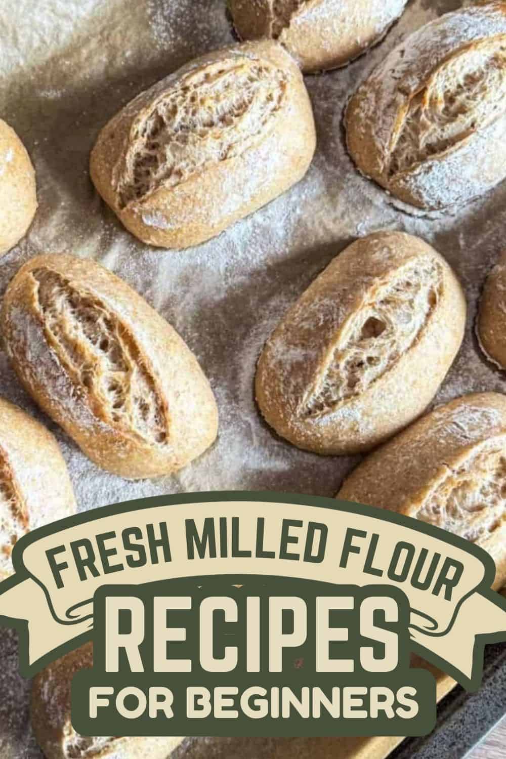 Freshly baked bread rolls made with fresh milled flour on a baking tray.