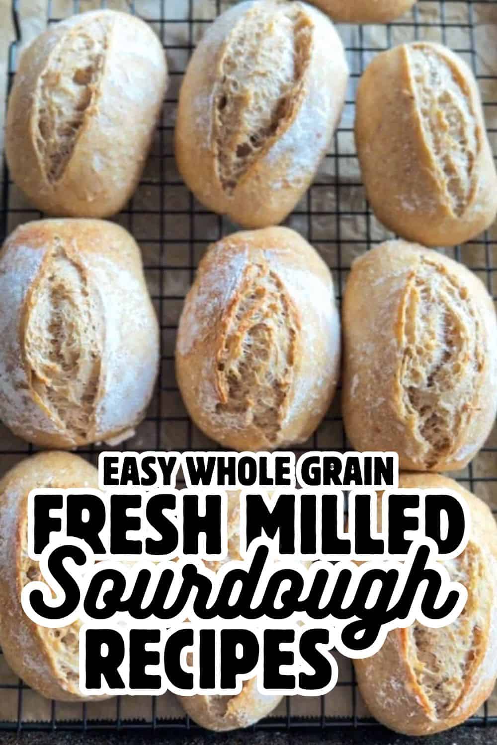 Freshly baked sourdough bread rolls made with whole grain flour, perfect for healthy bread lovers.