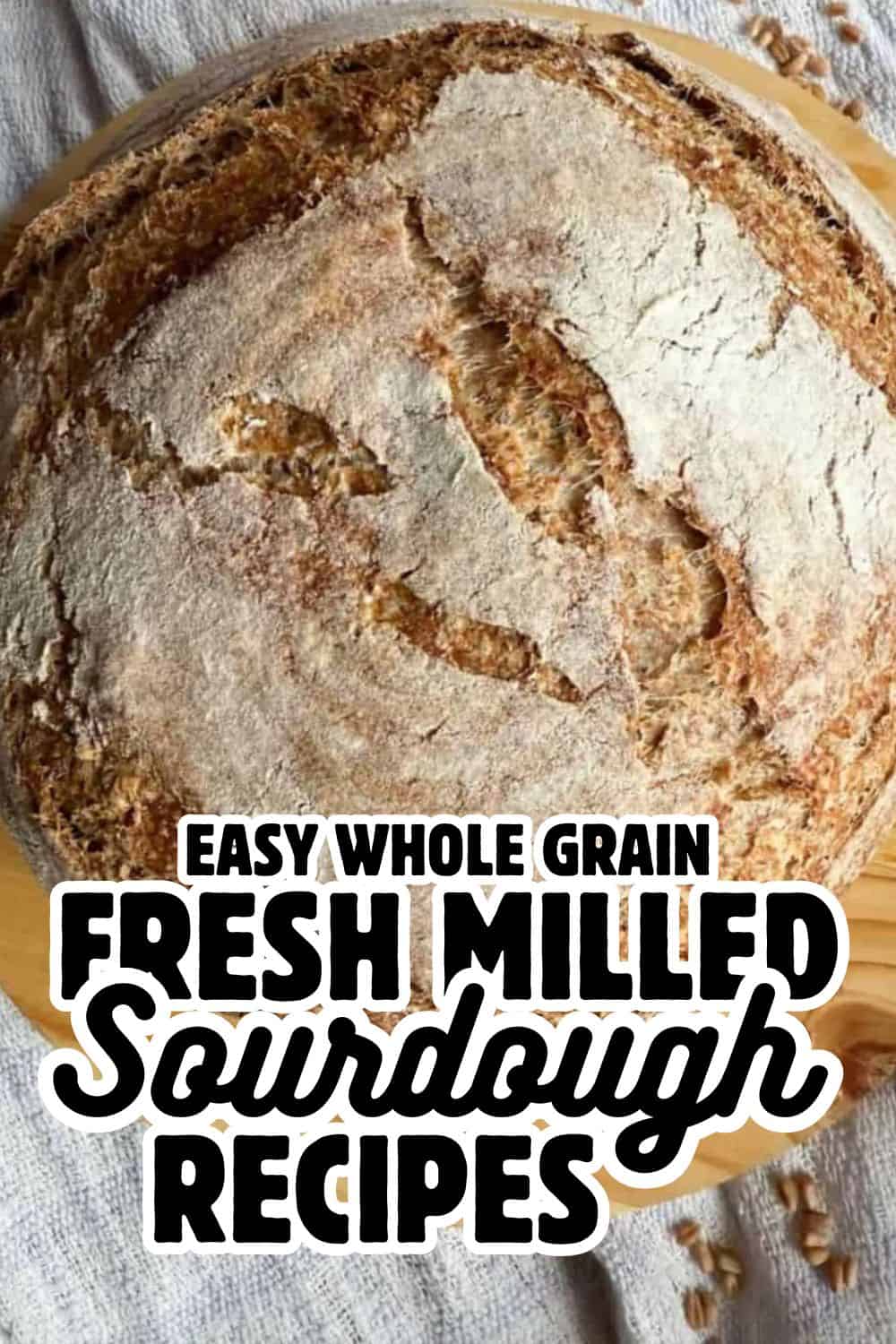 Freshly baked sourdough bread made with whole grain flour, showcasing natural ingredients and artisa.