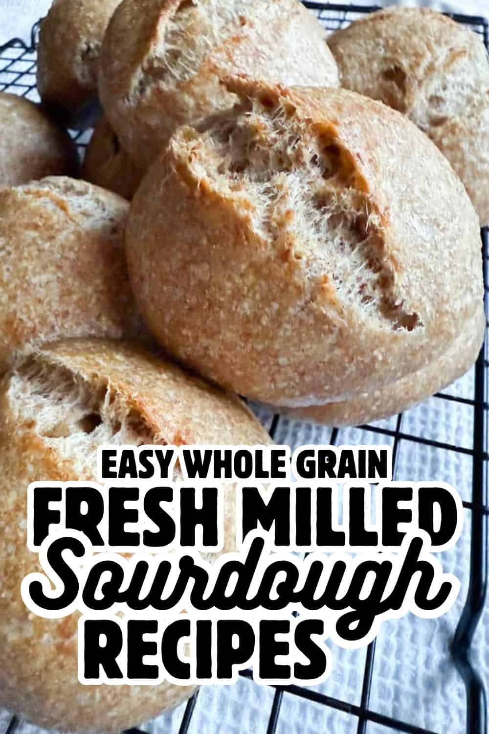 Freshly baked whole grain sourdough bread made with fresh milled flour.