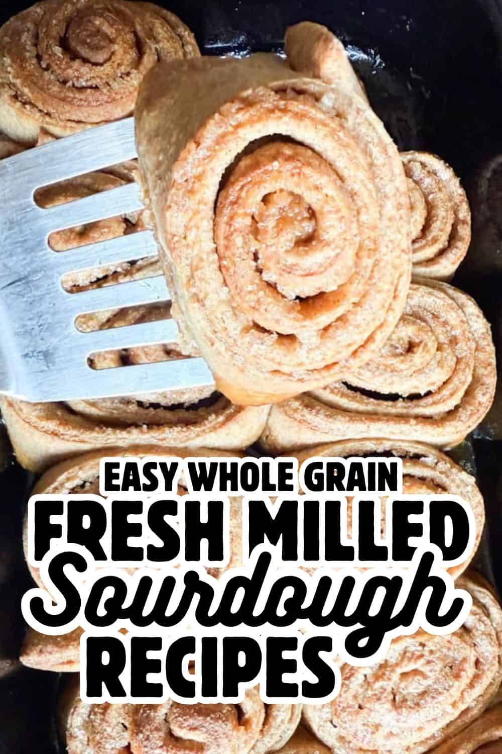 Freshly baked sourdough rolls made with whole grain flour, perfect for healthy bread lovers.