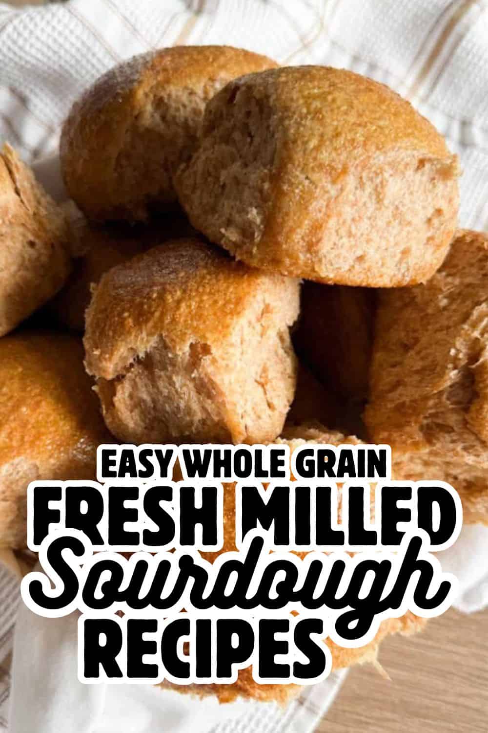 Freshly baked whole grain sourdough bread made with milled grains, showcasing a golden crust and sof.