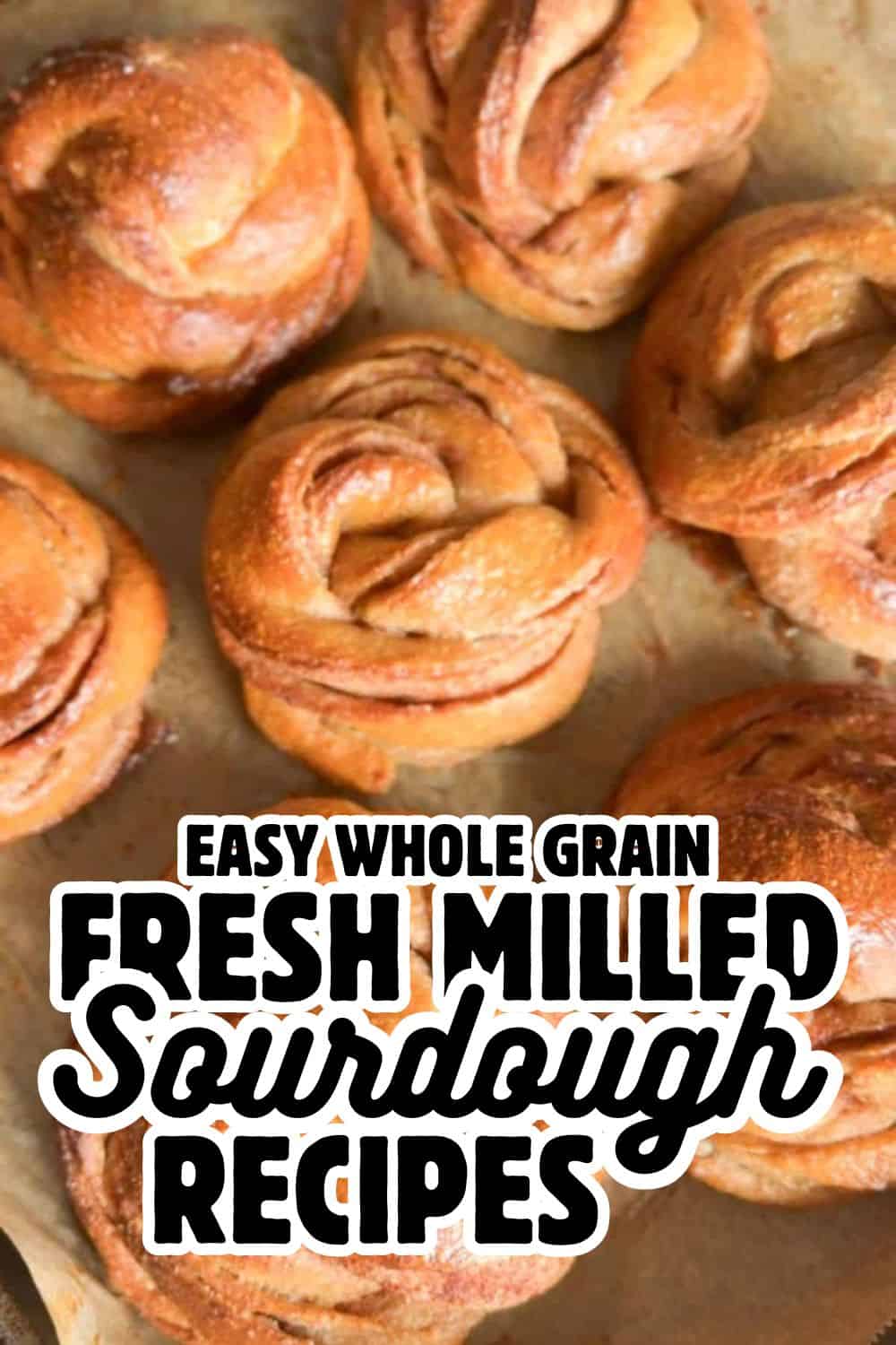 Freshly baked sourdough bread rolls made with whole grain flour, showcasing homemade bread recipes.