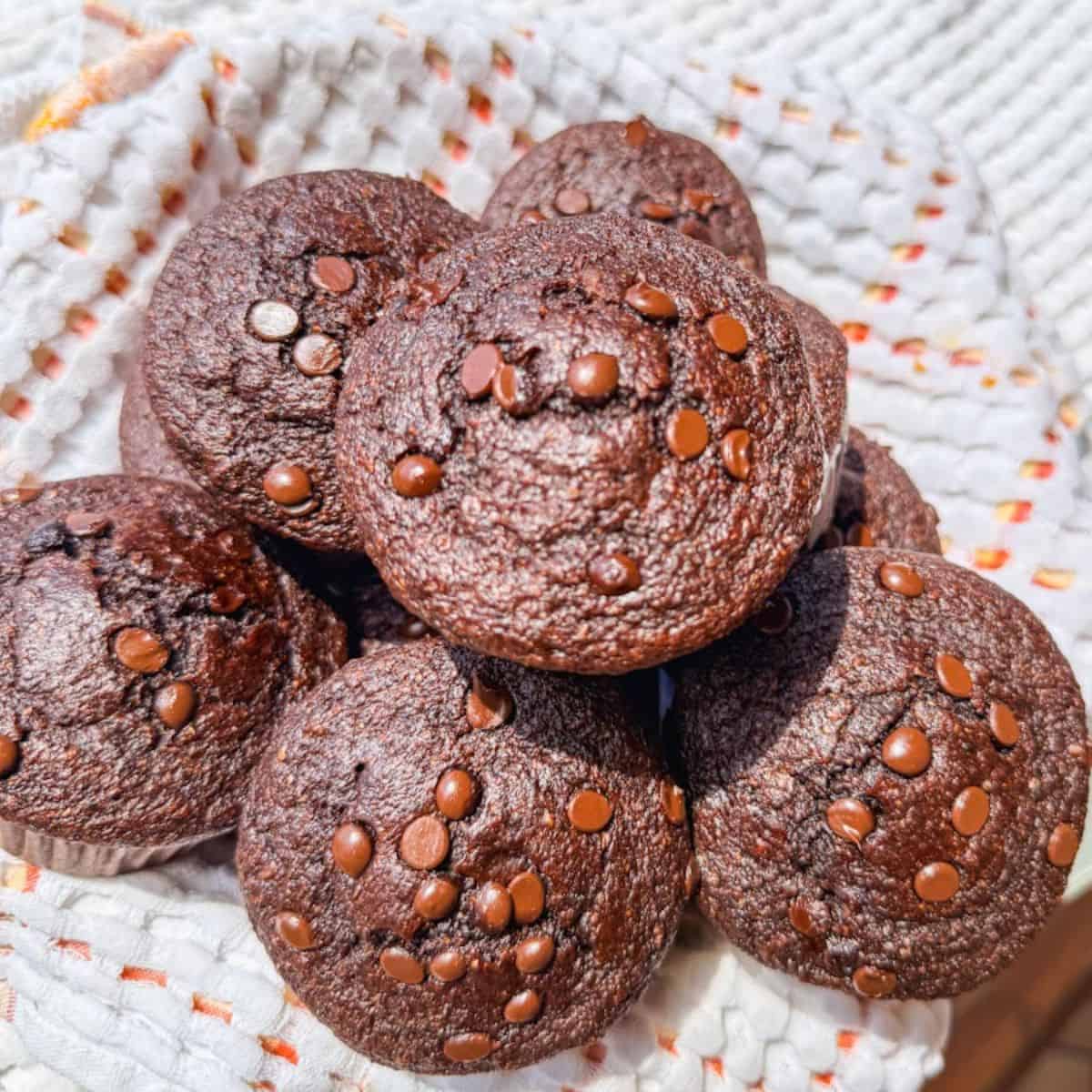 Chocolate zucchini muffins with chocolate chips on top, fresh and homemade.