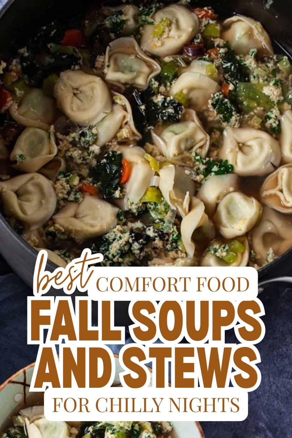 Hearty fall soups and stews with vegetables and dumplings for chilly nights.