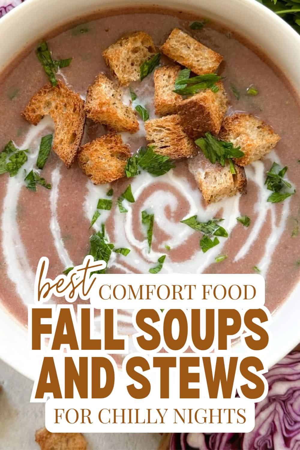 Comfort food fall soups and stews with croutons and herbs in a bowl.
