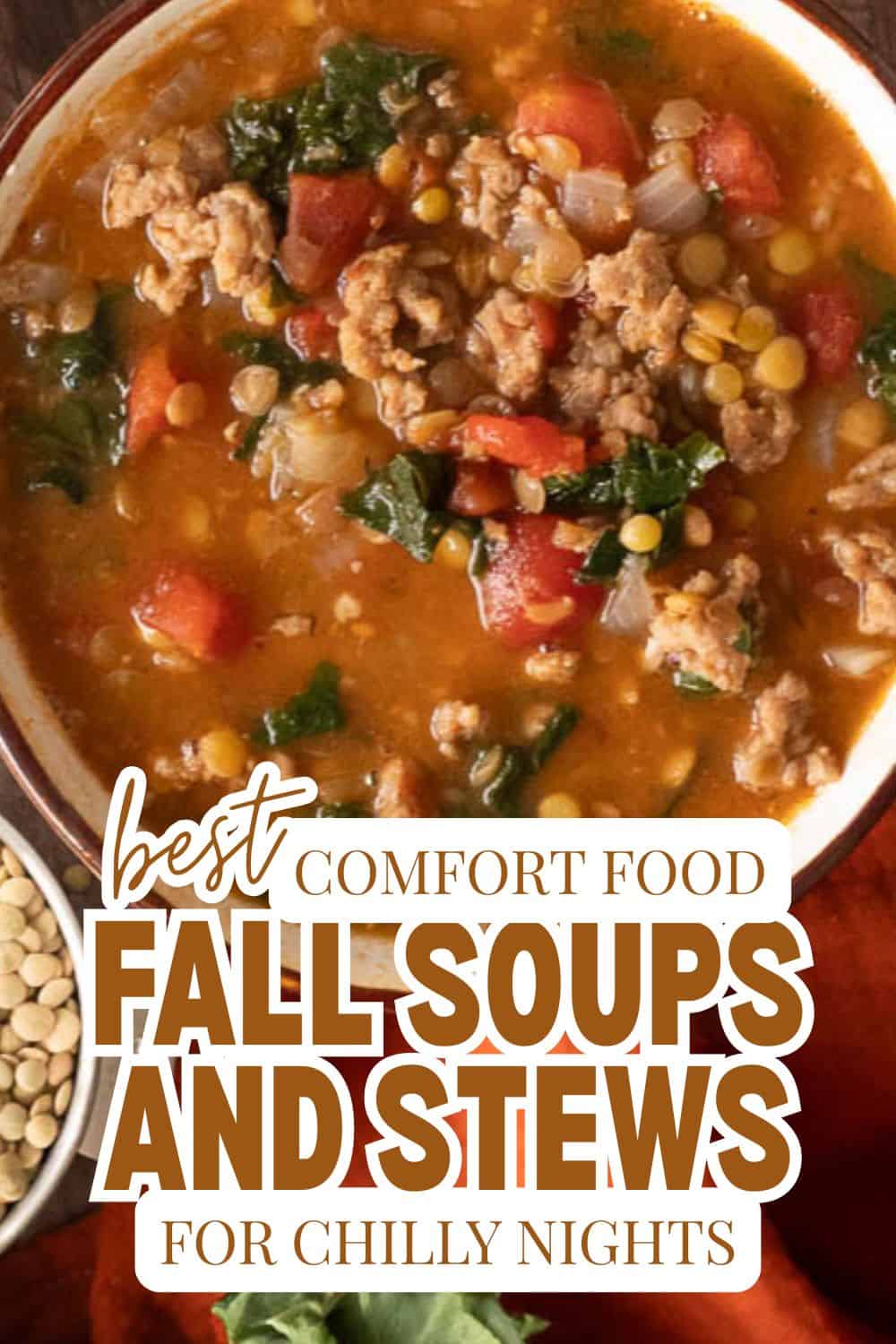 Hearty fall soups and stews with vegetables and ground meat in a bowl.